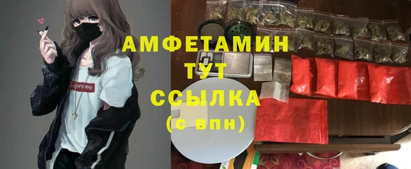 дмт Аркадак