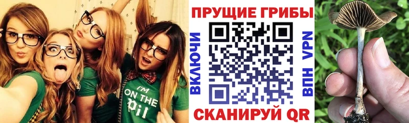 сколько стоит  мега как войти  Галлюциногенные грибы мицелий  Сасово 